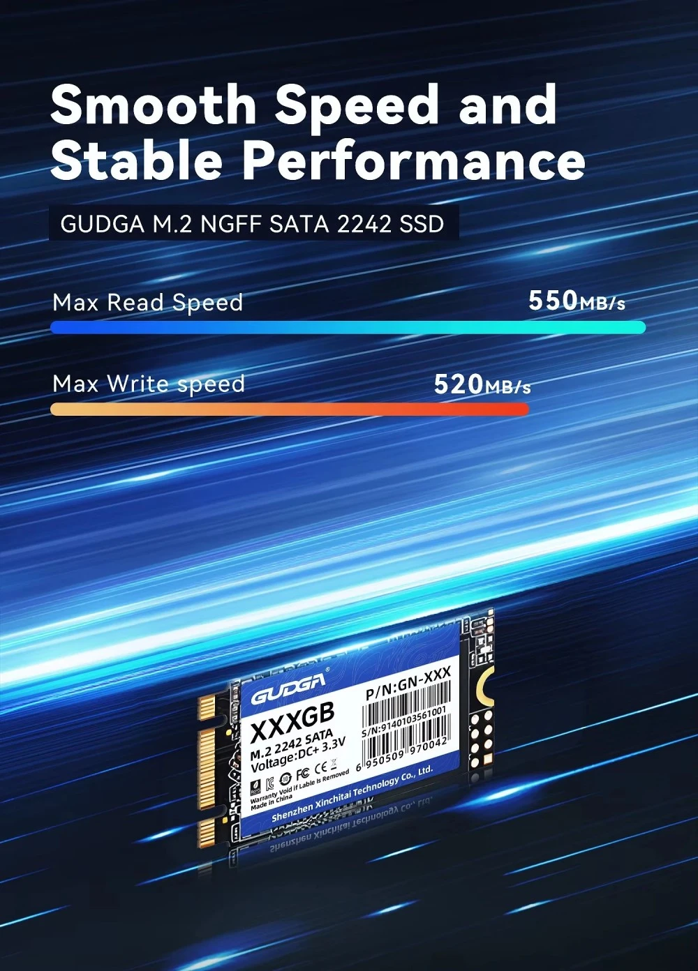 M.2 2242 SATA SSD